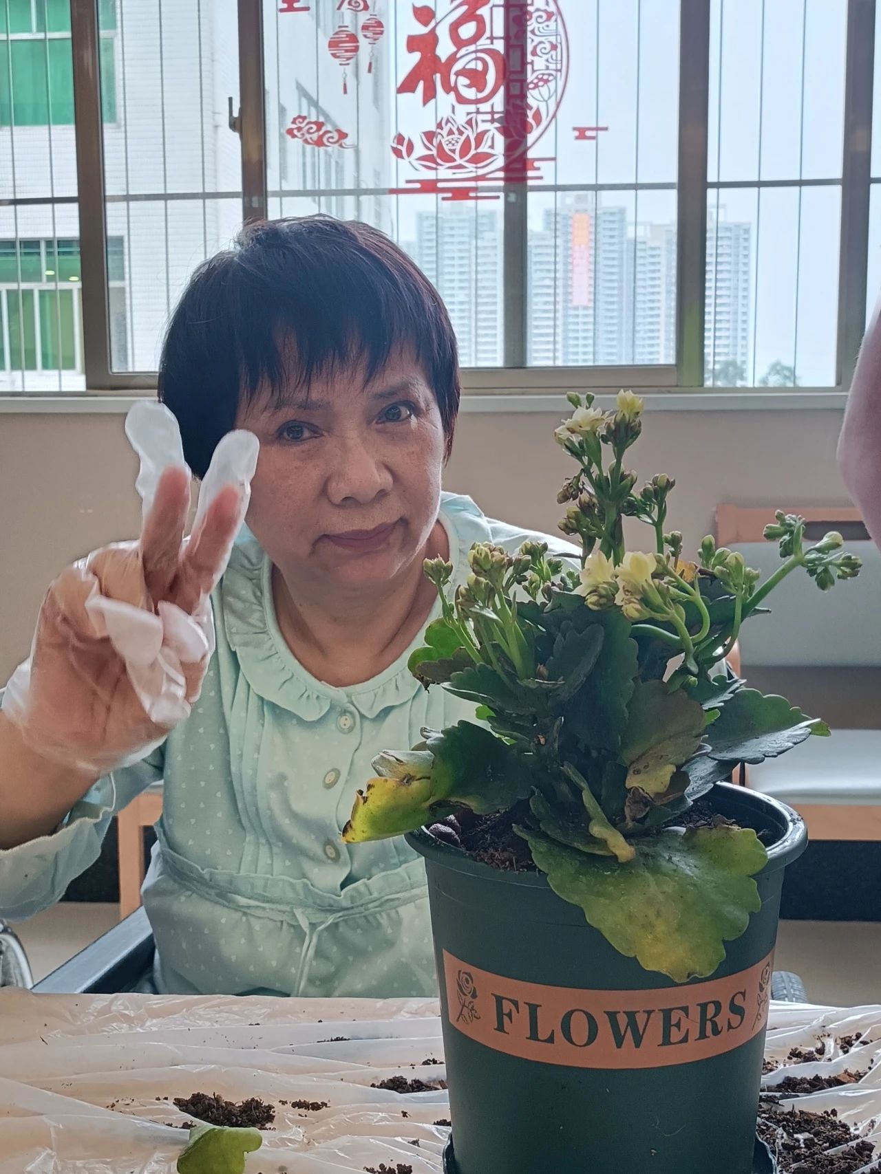 惠康康养|“植此春色，添绿正当时”长寿花种植主题活动